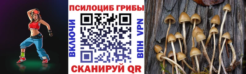 купить закладку  Усть-Лабинск  Галлюциногенные грибы MAGIC MUSHROOMS 